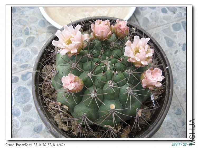 ���������ˣ�����Ļ������