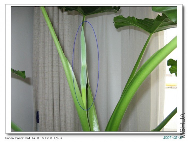 ò�ƺ������ҲҪ������