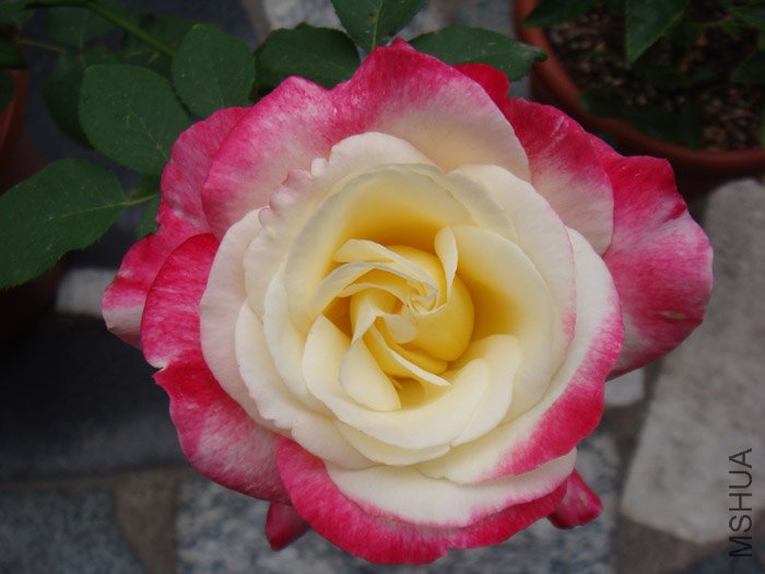 DSC03012.JPG