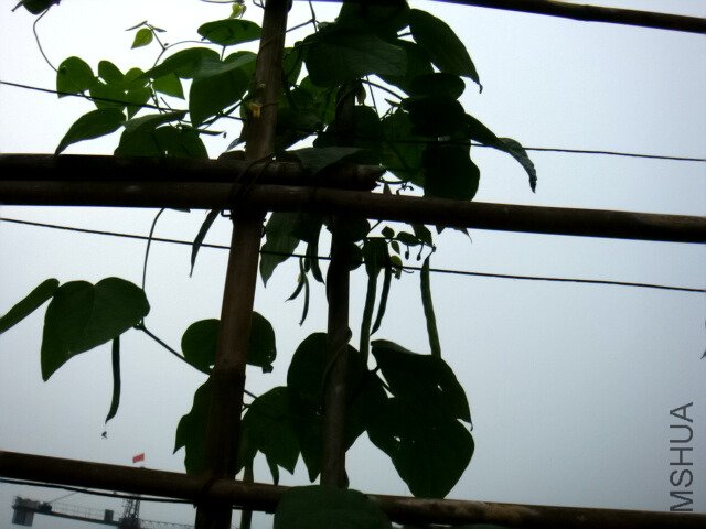 DSC00504.JPG