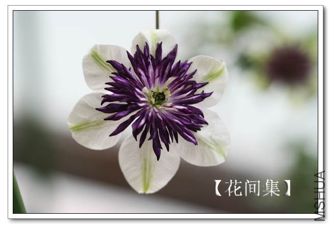 IMG_5838 ����.jpg