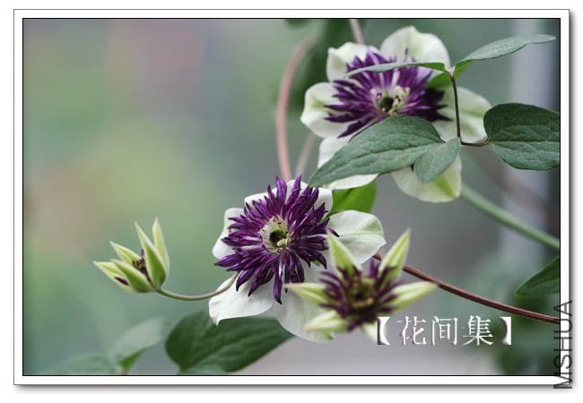 IMG_5837 ����.jpg