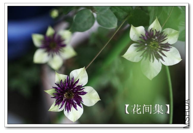 IMG_5856 ����.jpg