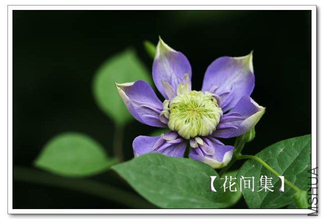 IMG_5929 ����.jpg