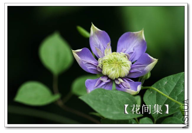 IMG_5927 ����.jpg