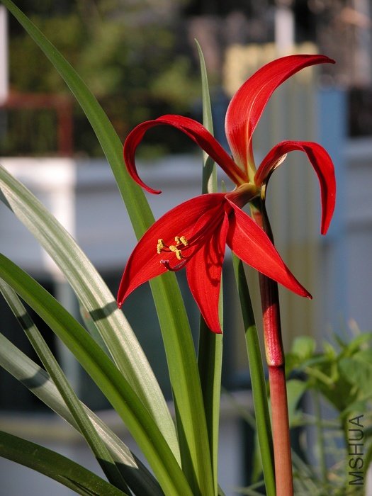 DSCN0266.jpg