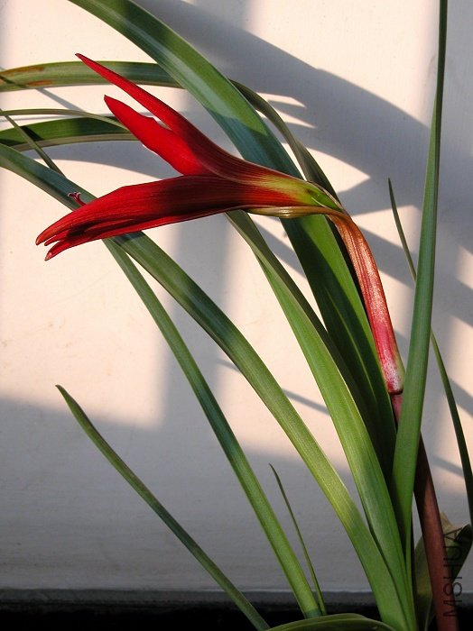 DSCN0218.jpg