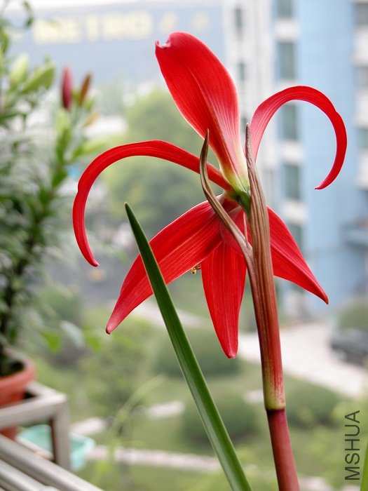 DSCN0240.jpg