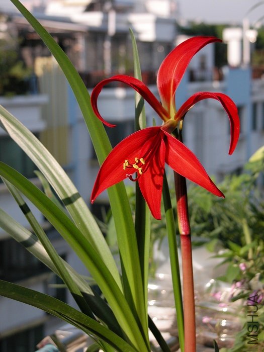DSCN0261.jpg