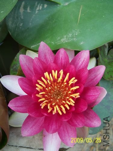 ����ɫ��˯������ÿ�춼����Ҫ�������ٴ�Щ����������Ҫ��