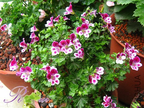 ��ʹ�� 8.jpg