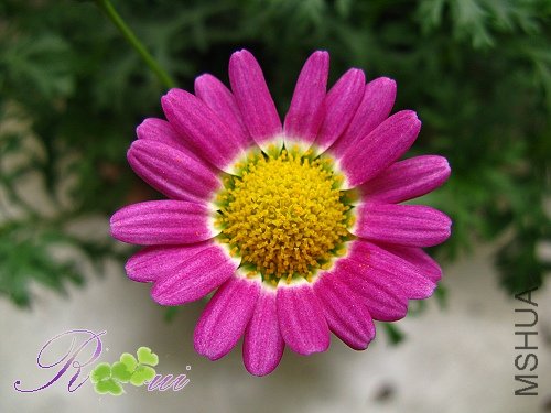 �������-��� 2.jpg