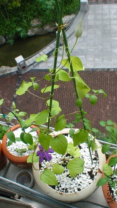 5-25�գ��ֿ������������ɣ�����ȫ���գ�ע���Ǹ��޴�Ļ���������ҲҪ������