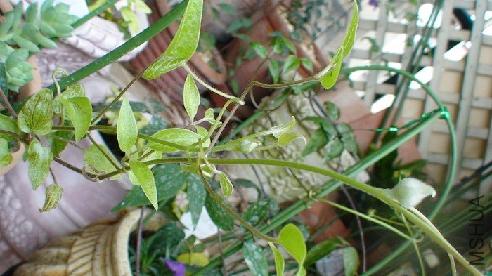 ������������д�ɣ����Ʒ�����Ƿǳ���ǿ������