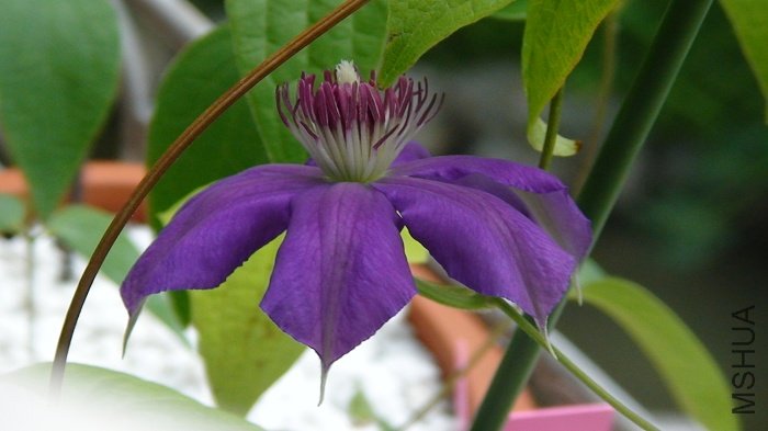 ��������ʵ����ɫ����һ�仨Ҫ�����ɫ���ܶࡣ