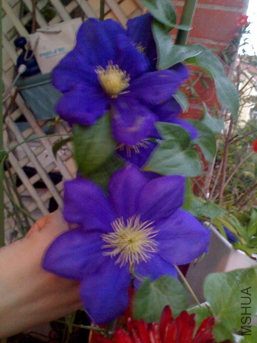 �����Ļ�ʵ���Ǻܴ󣬿�ϧ��̫�����ֻ�ʵ���Ĳ������