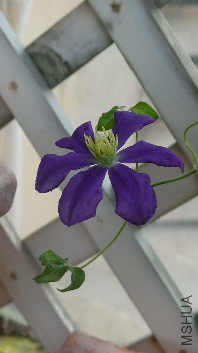 5-25�գ�����ȥ������Ǥ��Ľ�������ȥ��10���Ѿ�������������������ֿ����������Ļ�����ֻ�ǻ����Ա����� ...