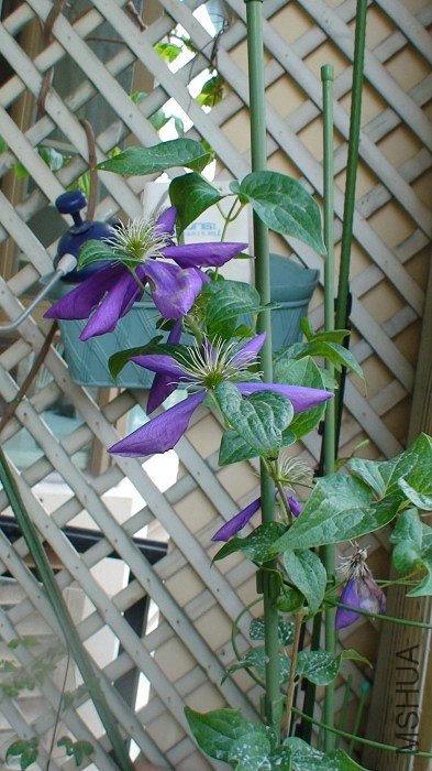 5-25�գ�����Ľ����Ѿ���л�ˣ�