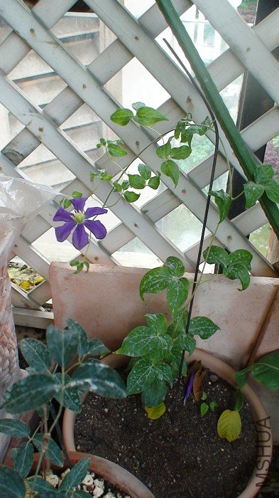 ������øպ���һ��Ľ�����ȫ���գ�