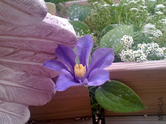 5-15�գ����ڿ�������