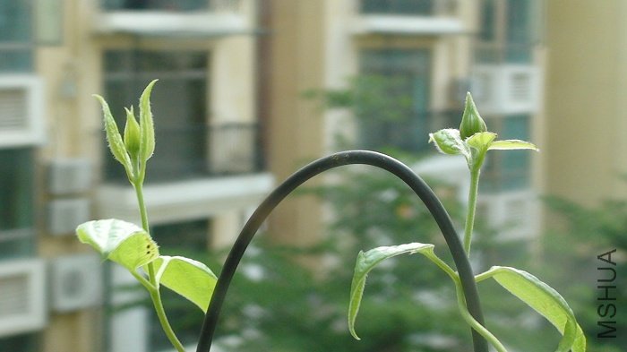 5-25�գ�������������д��