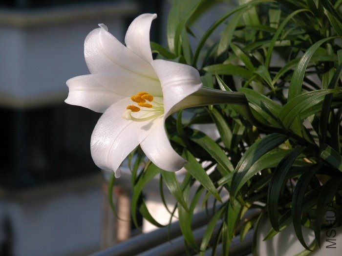 DSCN0315.jpg