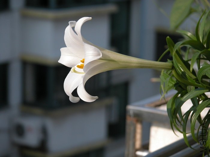 DSCN0316.jpg