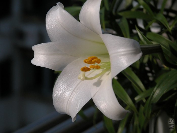 DSCN0318.jpg