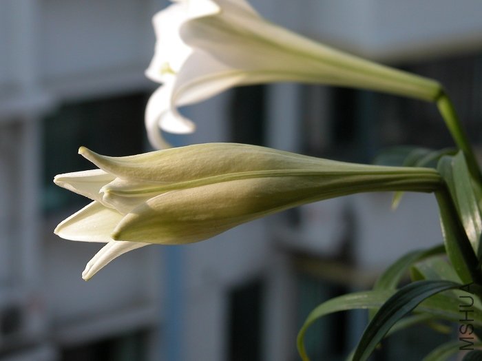 DSCN0325.jpg
