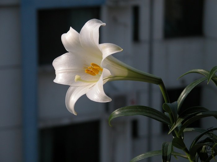 DSCN0321.jpg