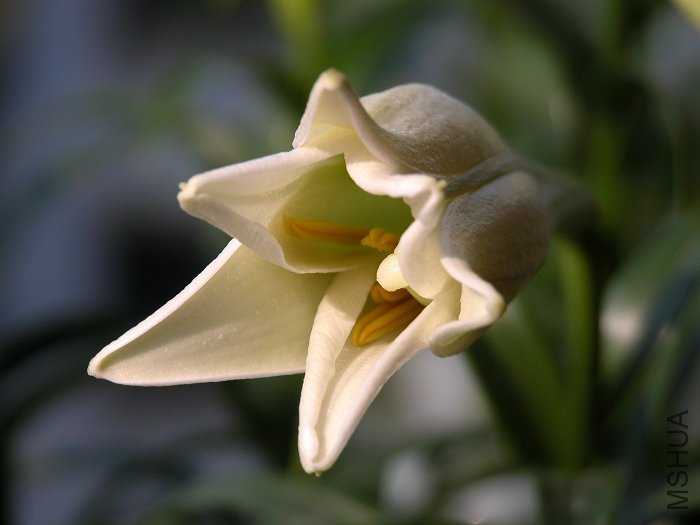 DSCN0326.jpg