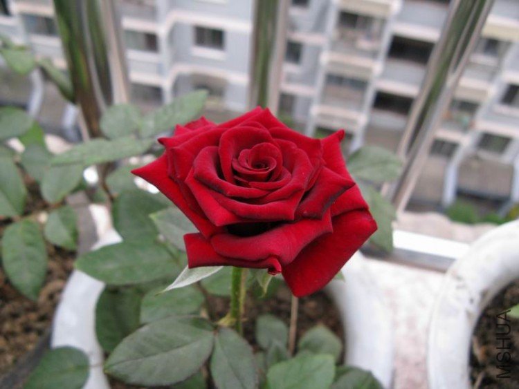 ������С ��Ƭ 024.jpg