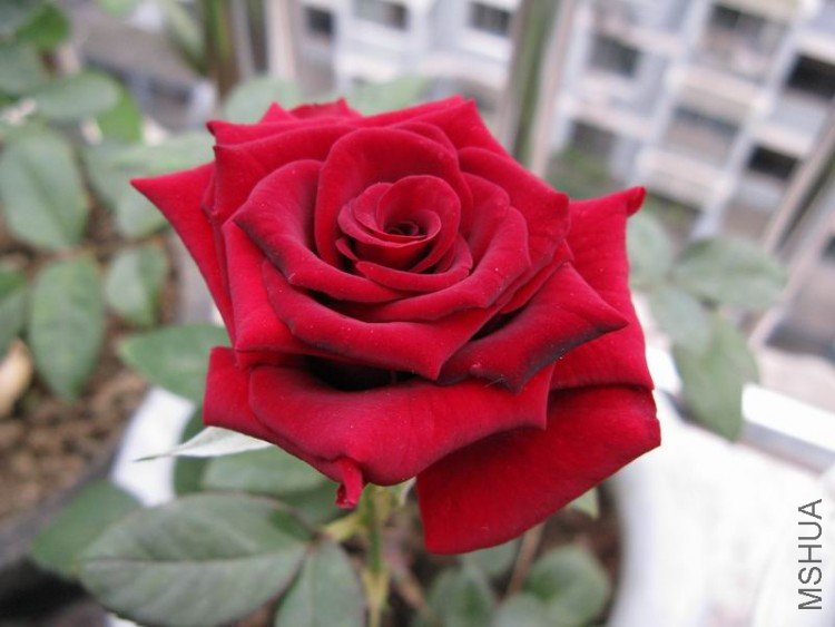������С ��Ƭ 025.jpg