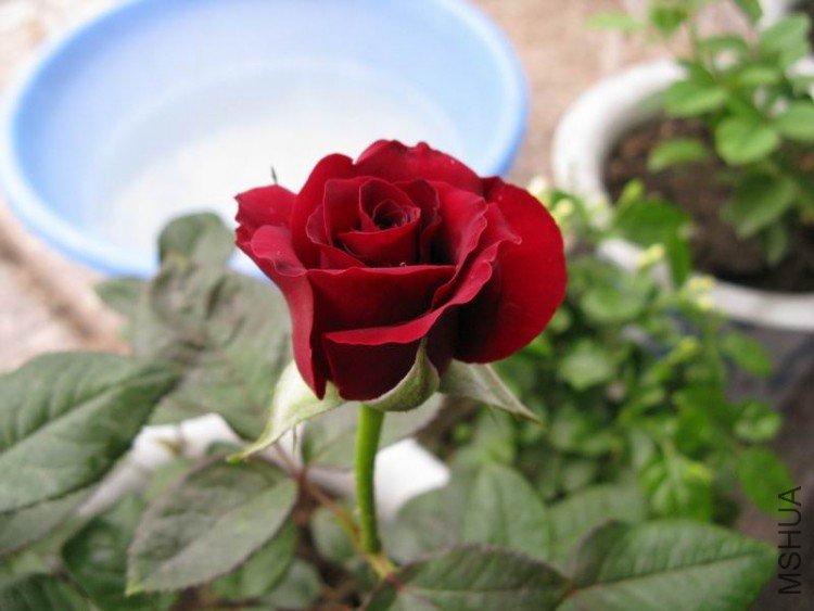 ������С ��Ƭ 019.jpg