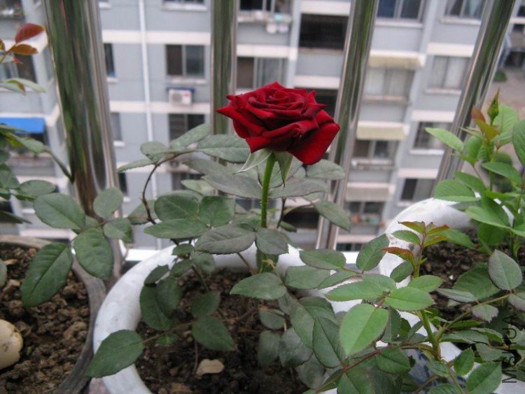 ������С ��Ƭ 026.jpg