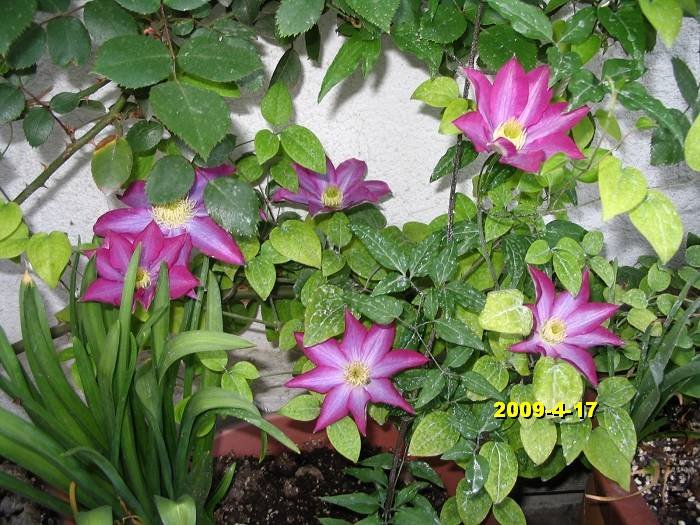 nEO_IMG_��Ƭ 30137.jpg