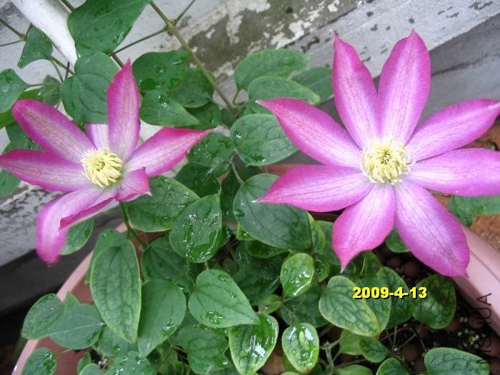 nEO_IMG_��Ƭ 30140.jpg