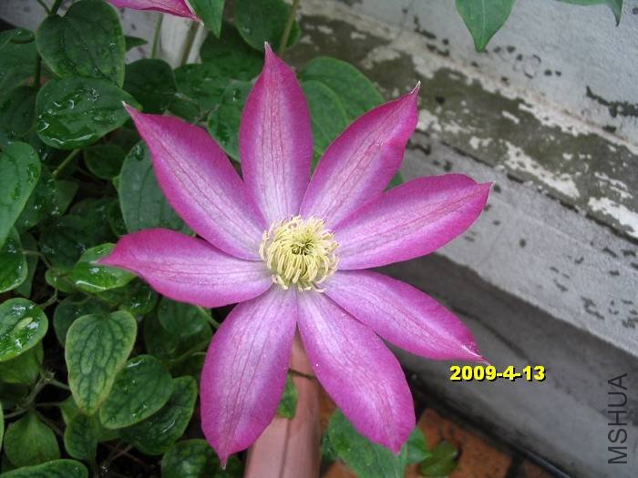 nEO_IMG_��Ƭ 30138.jpg