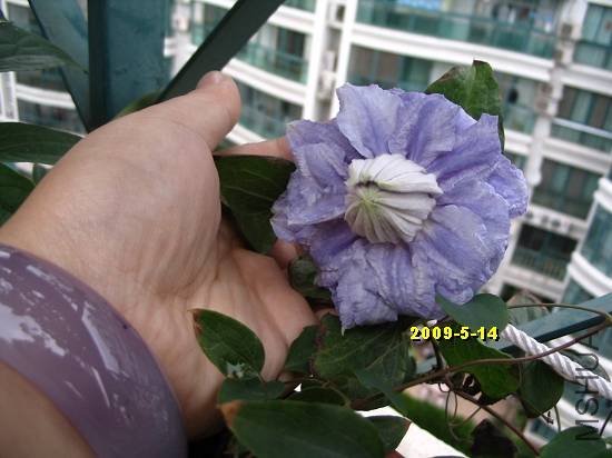 nEO_IMG_��Ƭ 045.jpg