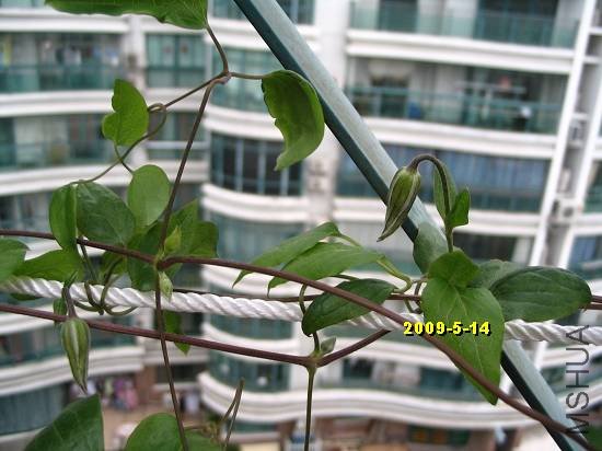 nEO_IMG_��Ƭ 046.jpg