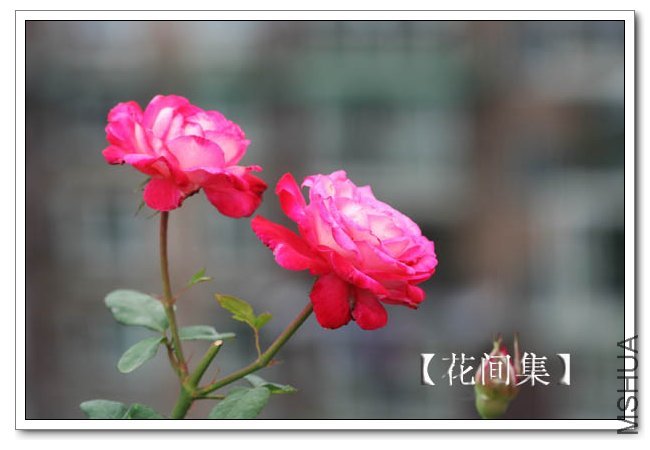 IMG_5890 ����.jpg