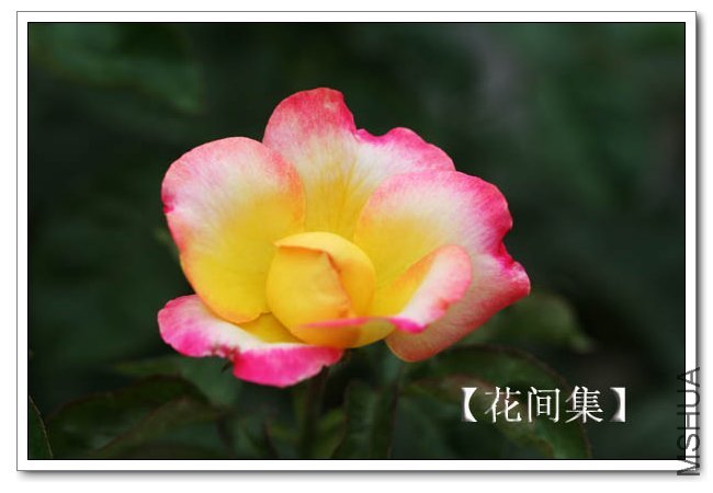 IMG_5895 ����.jpg