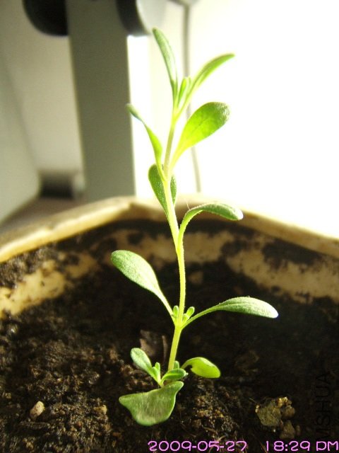 DSCF46290.jpg