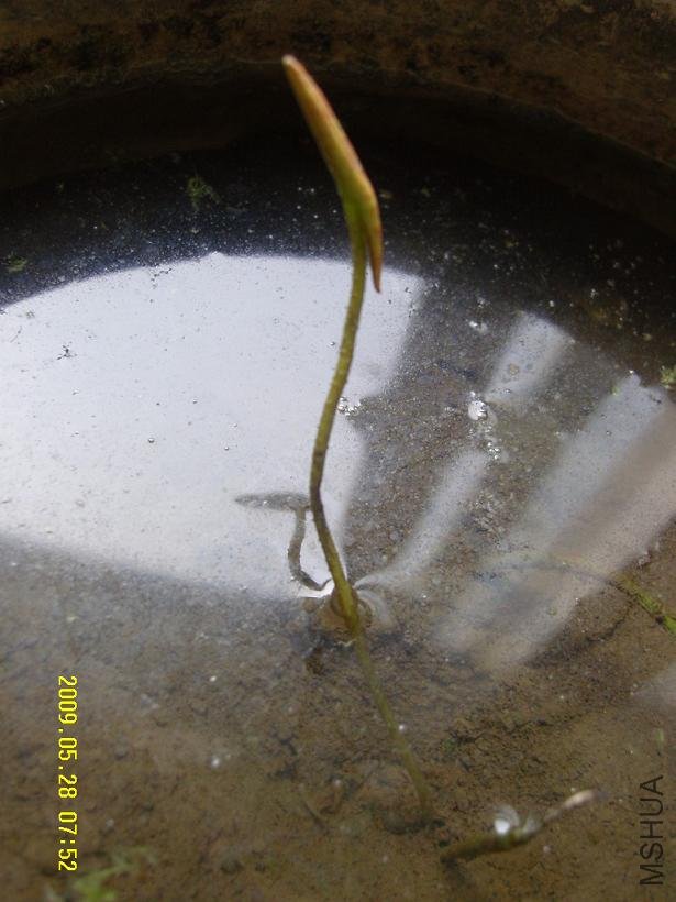 ˮ���Ϻڵ��ˣ���