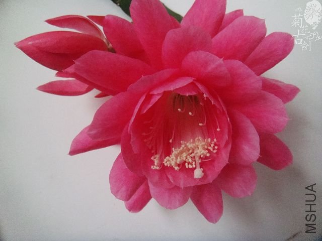�ۻ����1.jpg
