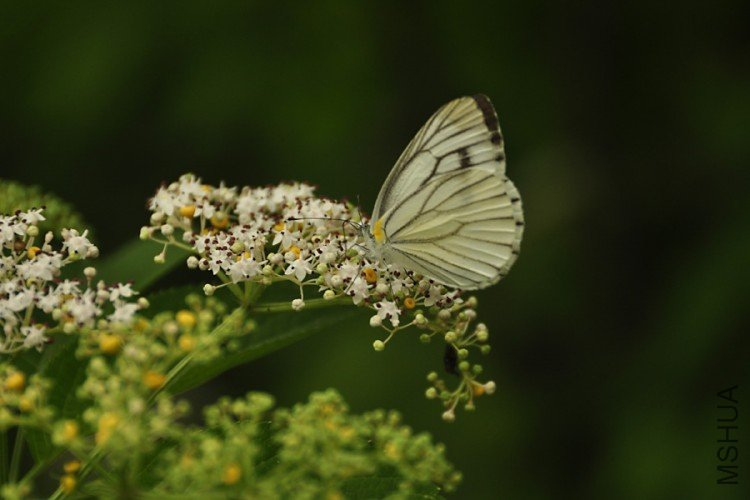 _DSC0543-.jpg