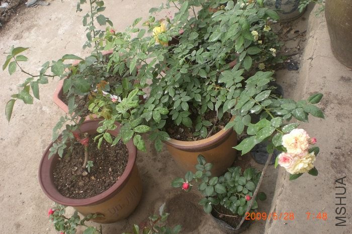 ֦���������֧��