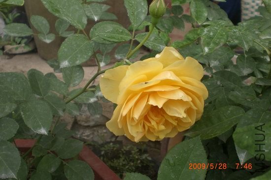 �п�������ˣ���ϧ����ͬʱ����