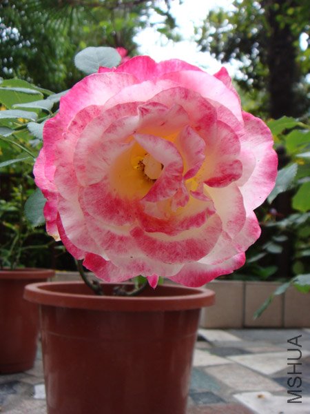 DSC03062.JPG
