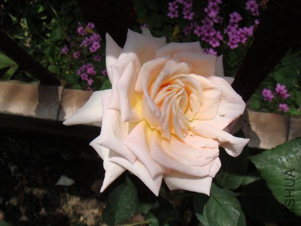 DSC03038.JPG